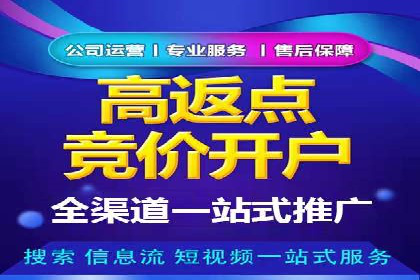 行业精英的SEM竞价经验与案例分享